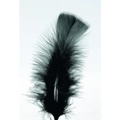 Plumes Pieds Plats Noir X100Pcs