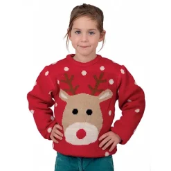 Pull De No L Renne 5/6 Ans