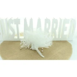 Rond De Dentelle Blanc Pour Dragees X 10