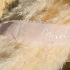 Ruban Effiloch Mousseline Merci Blush Et Or