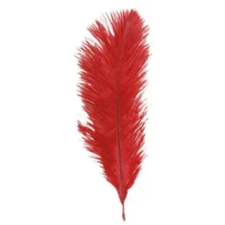 Sachet 5 Plumes Autruche Rouge 20-25 Cm