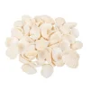 Sachet De 100Gr De Coquillages Coques Blanc