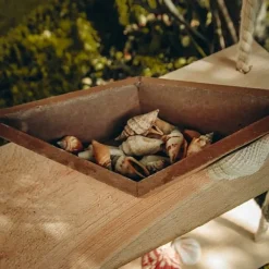 Sachet De 100Gr De Coquillages Bigorneaux