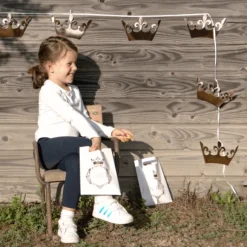 Sacs Anniversaire Princesse 23 Cm X10 Pi Ces