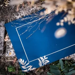 Set De Table Fougere Bleu Marine X 10 Pi Ces