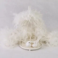 Urne Cage Oiseau Coeur