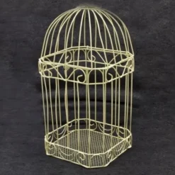 Urne Cage Oiseau Des Mari S Ivoire