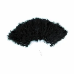 Ventail Plumes Noir